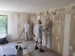 Mold Odor Removal Services